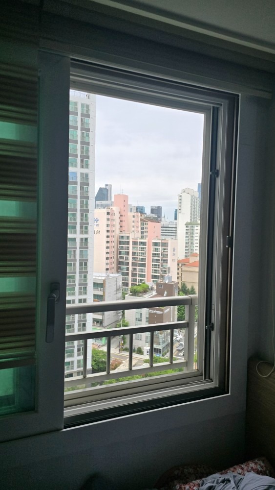 방충망 집사 picture 0