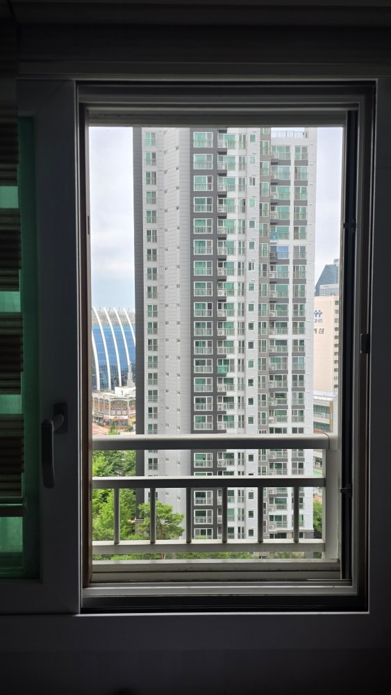 방충망 집사 picture 1