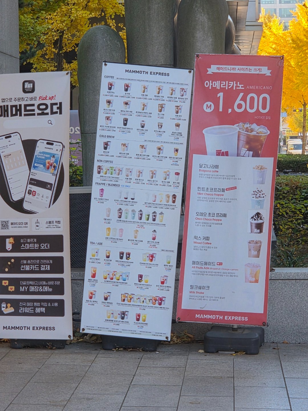 매머드커피 수내점 | 경기도 성남시 분당구 수내동 | 카페 | 당근 동네 업체