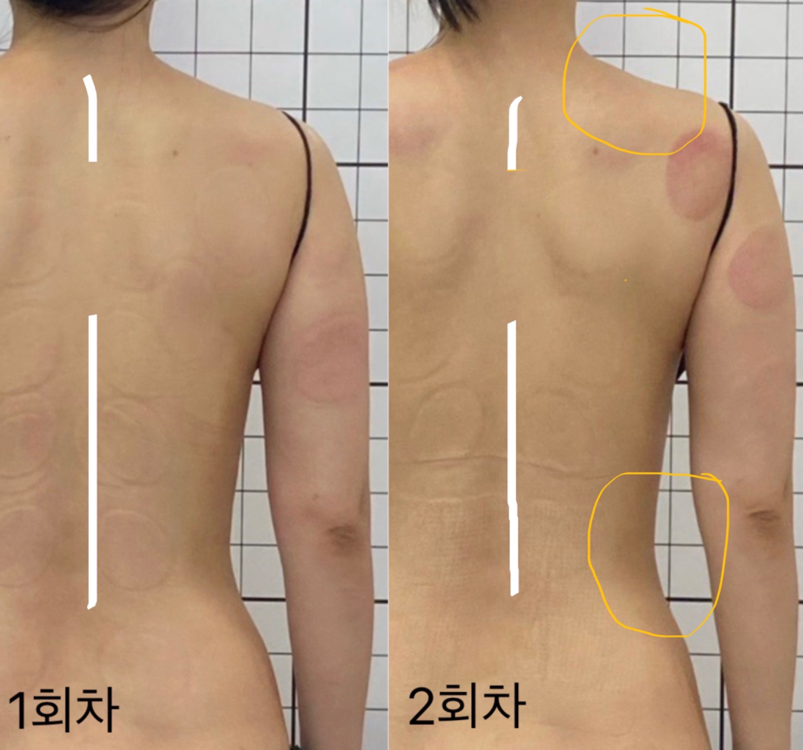 모무드 picture 8