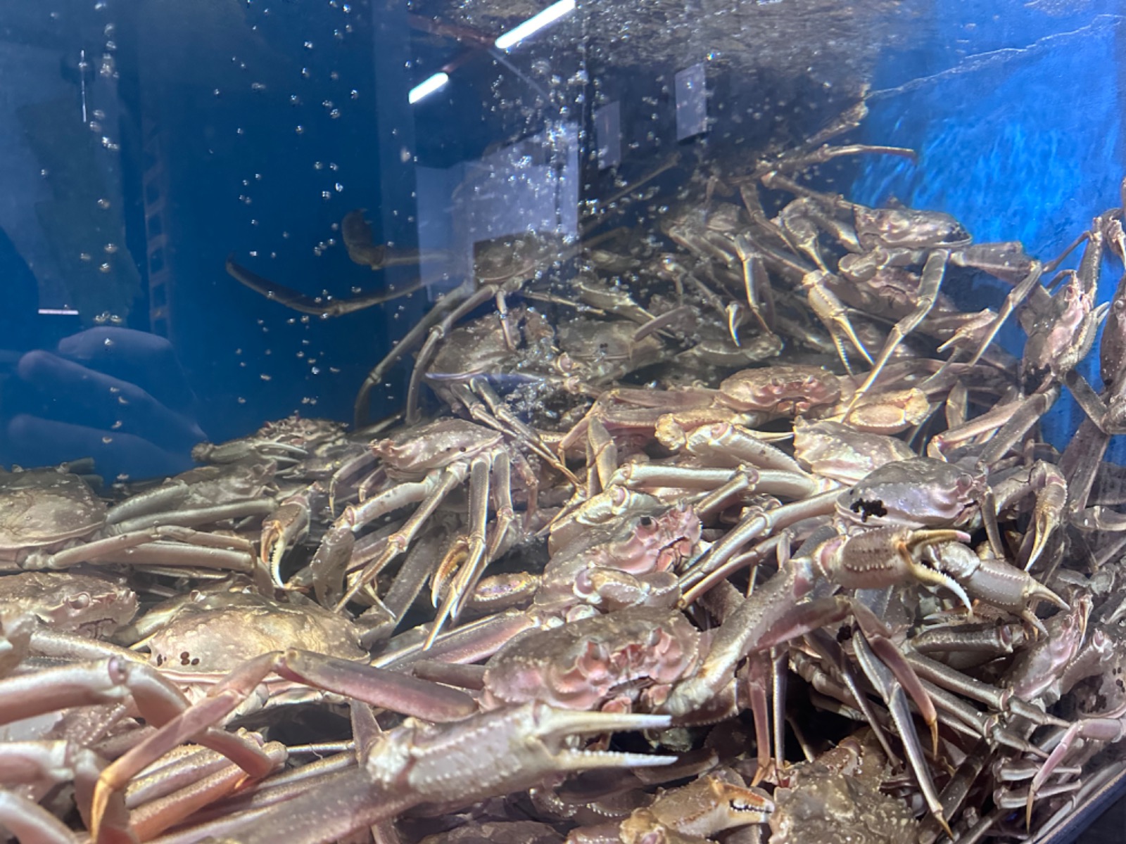 하이수산 영도직영점 picture 1