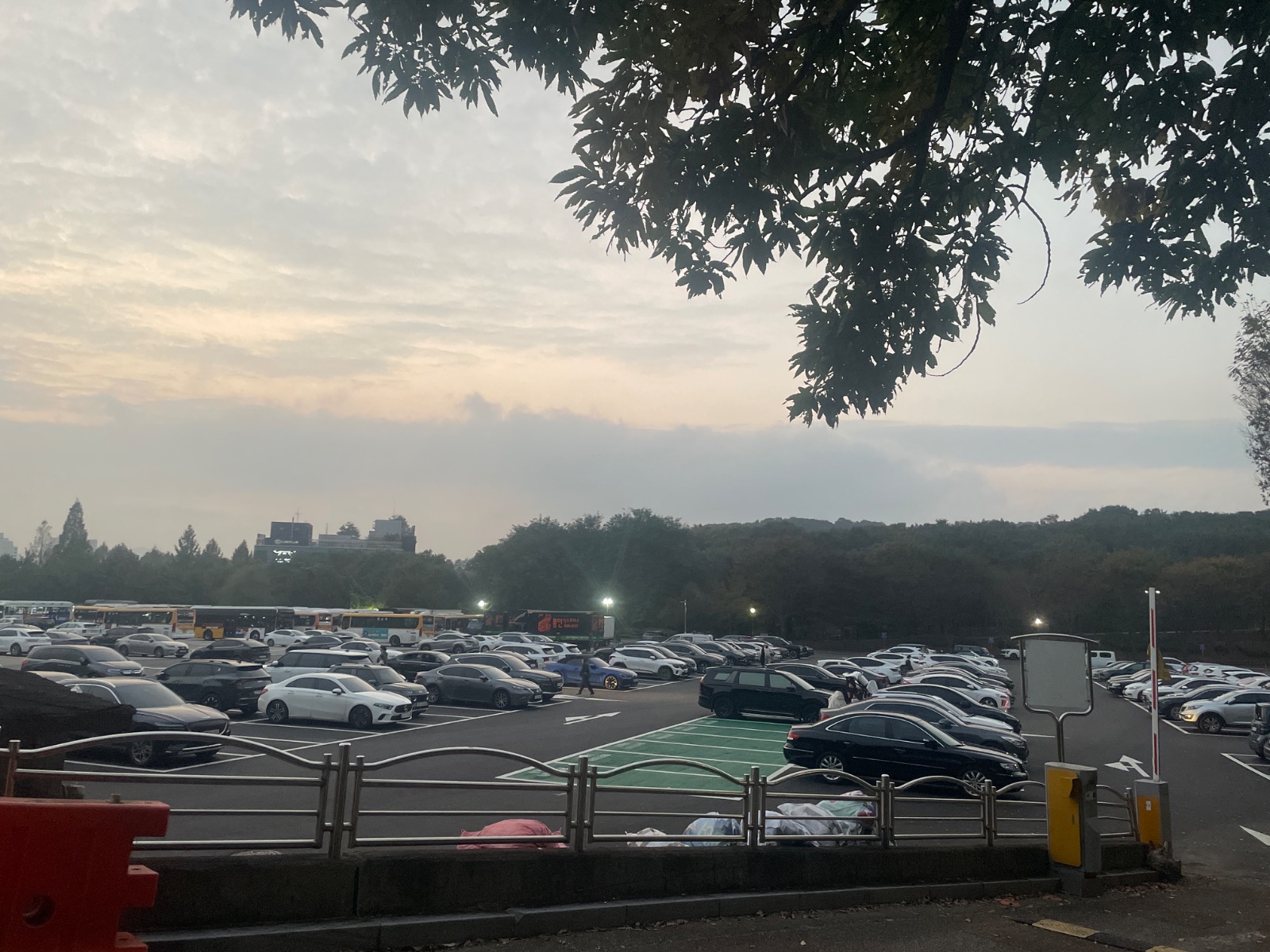 경기도 성남시 분당구 야탑3동 이웃들이 자주 가는 주차 | 당근