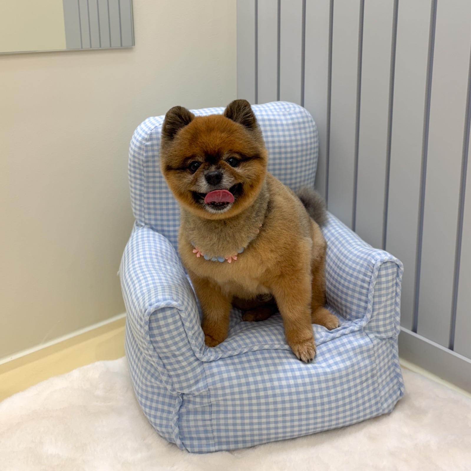 멜로우퍼피 picture 3