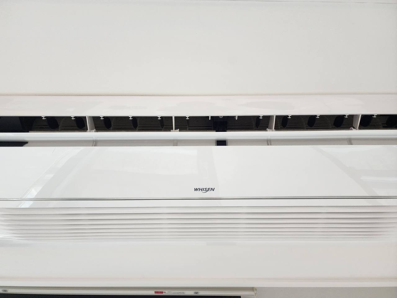 파파클린 picture 4