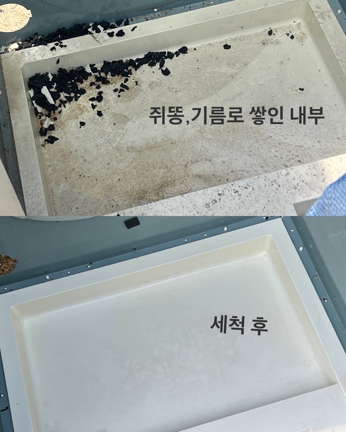 성화냉열 picture 3