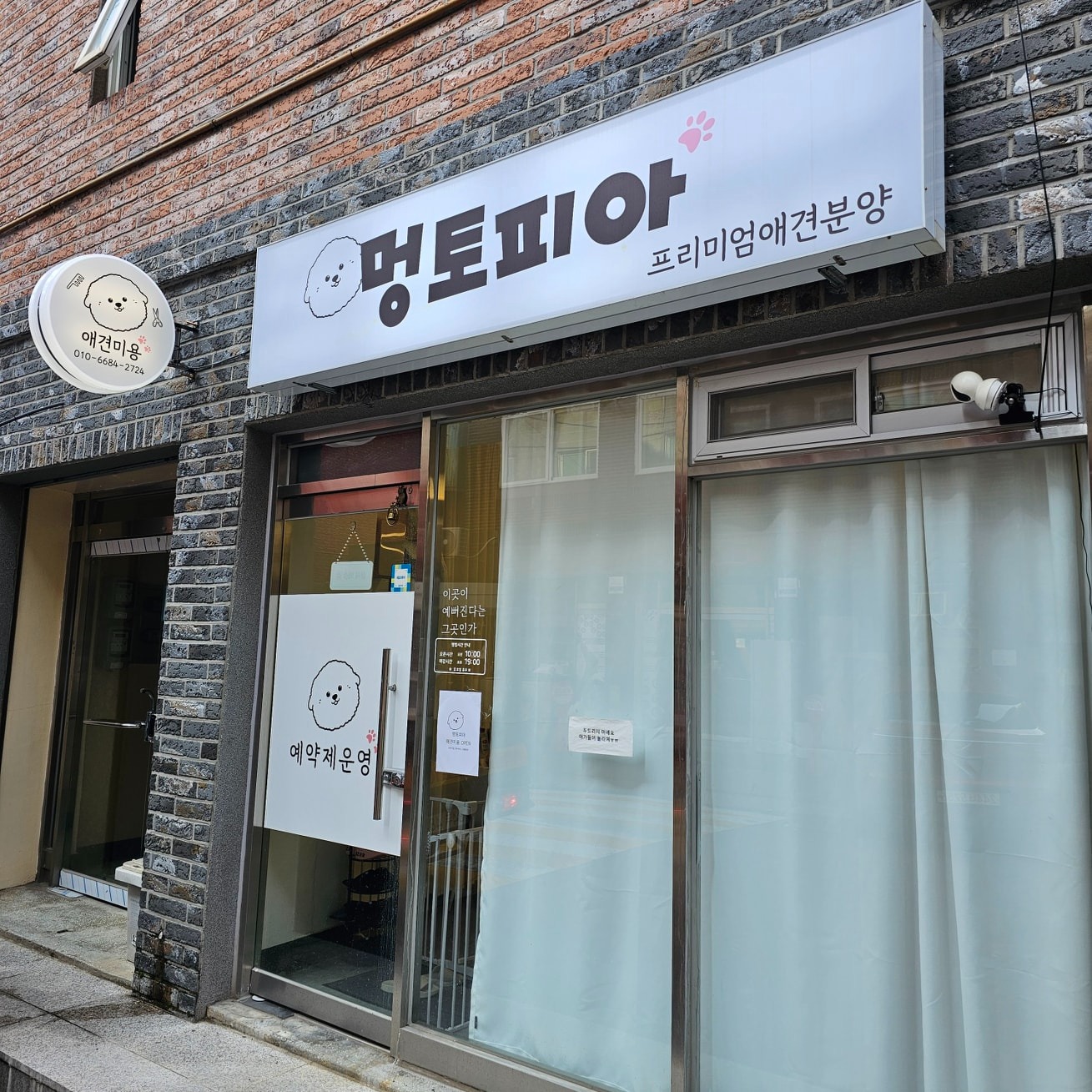 멍토피아 애견미용 picture 6