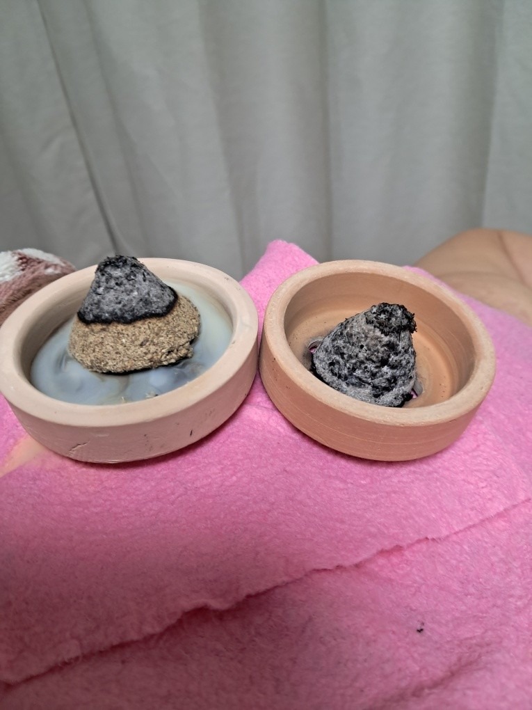 마사지 쑥뜸 picture 0
