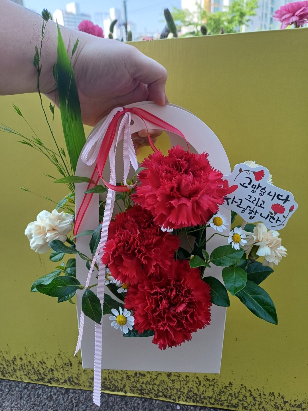 플레르연아 picture 1
