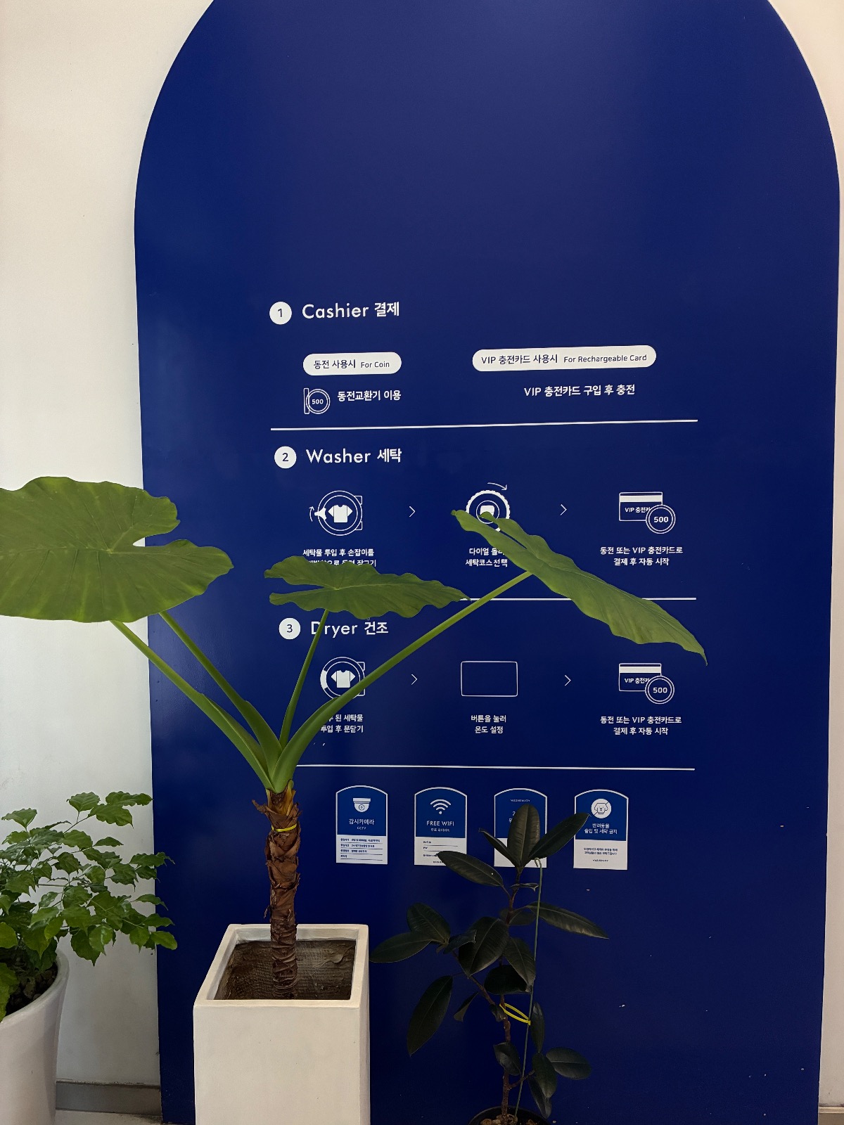 서울특별시 강동구 길동 이웃들이 자주 가는 셀프빨래방 | 당근