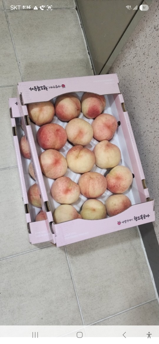 청도농원 picture 6