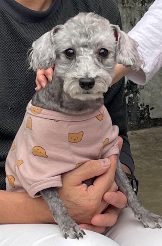 더그레이