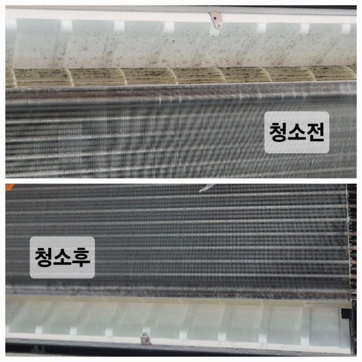 출동 청소구조대 picture 4