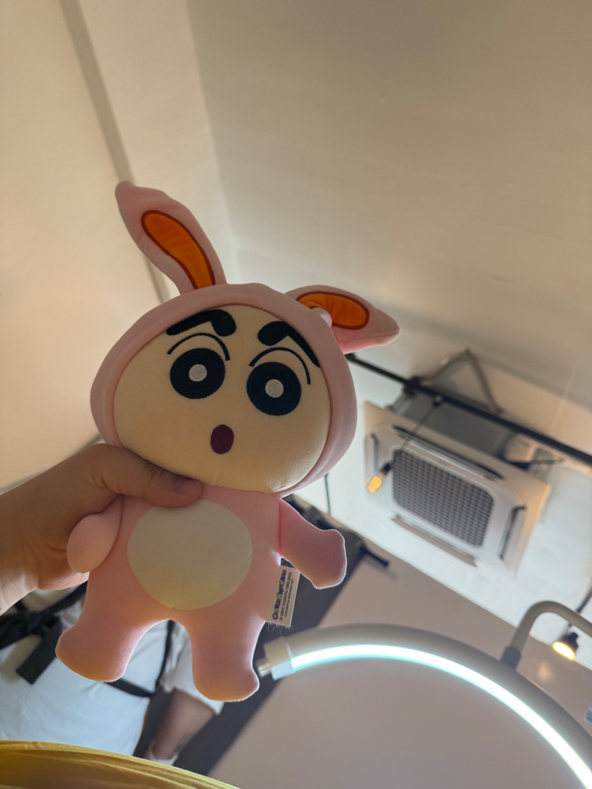 노블노블 picture 6