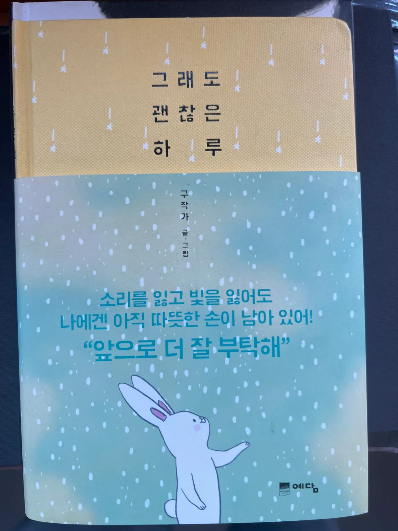 [중고도서] 그래도 괜찮은 하루 - 구작가