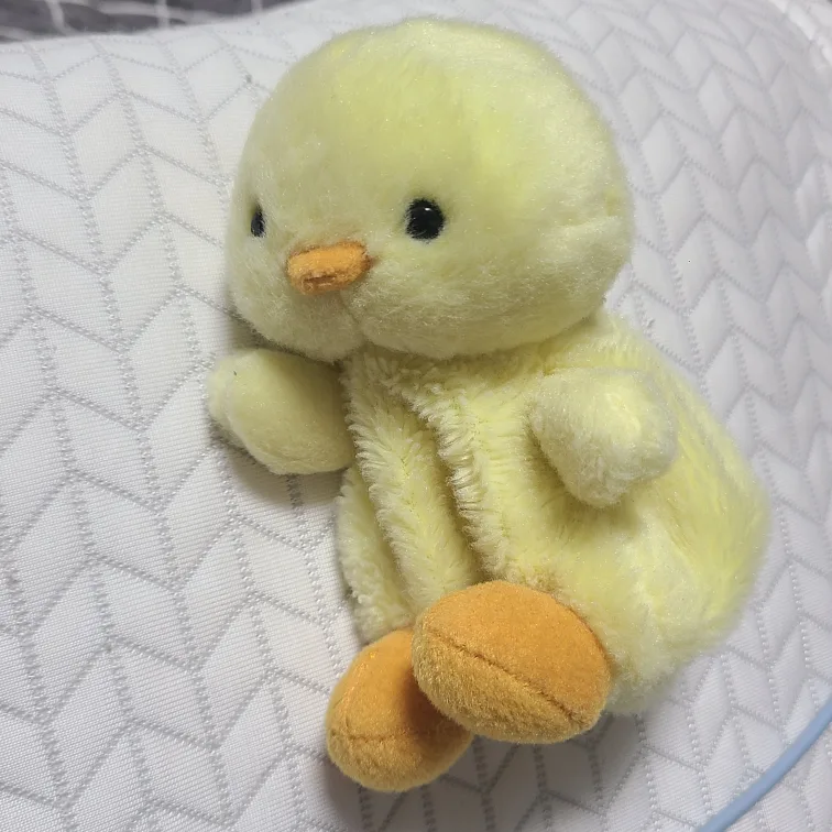 미니펫 아기 병아리 오리 인형
