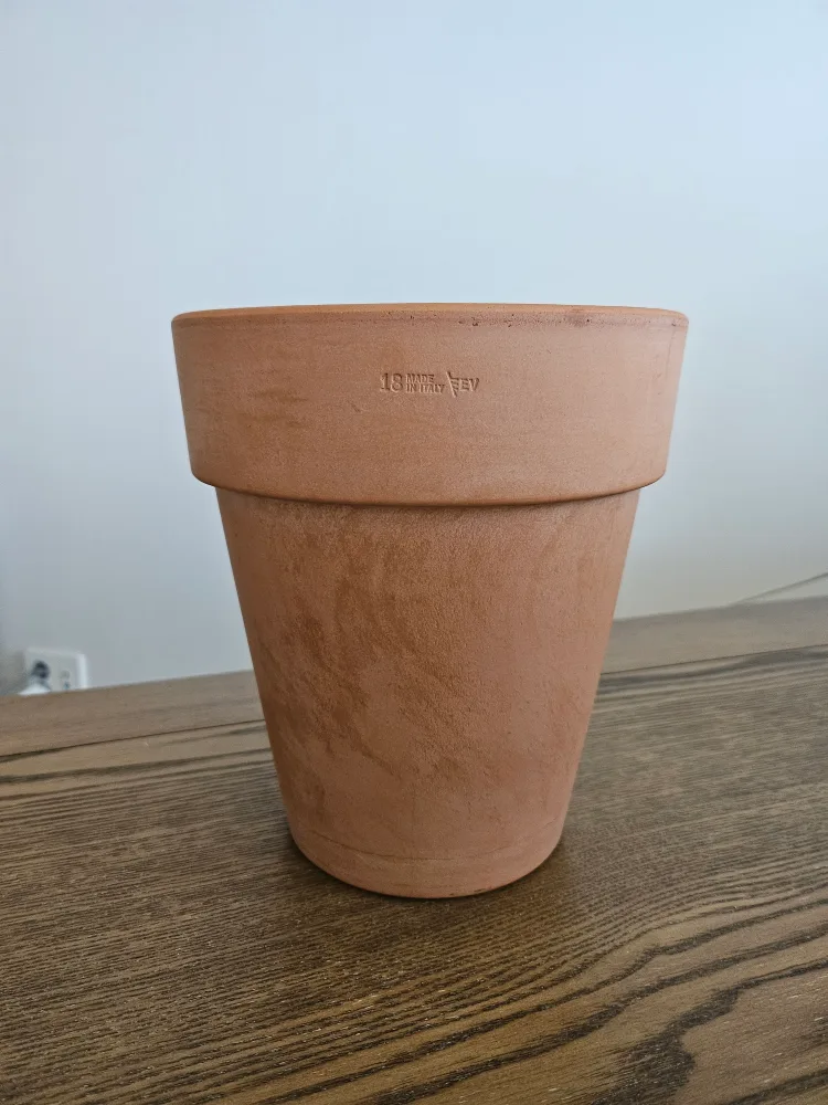 이태리토분 EV(중고)