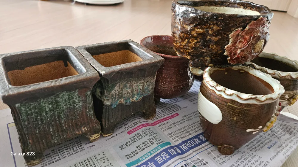 다육이 중고화분이예요