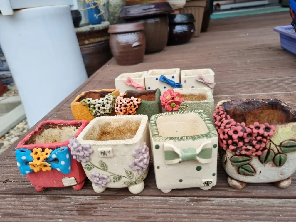 다육 중고화분 팝니다  .정스화분입니다  10개입니다