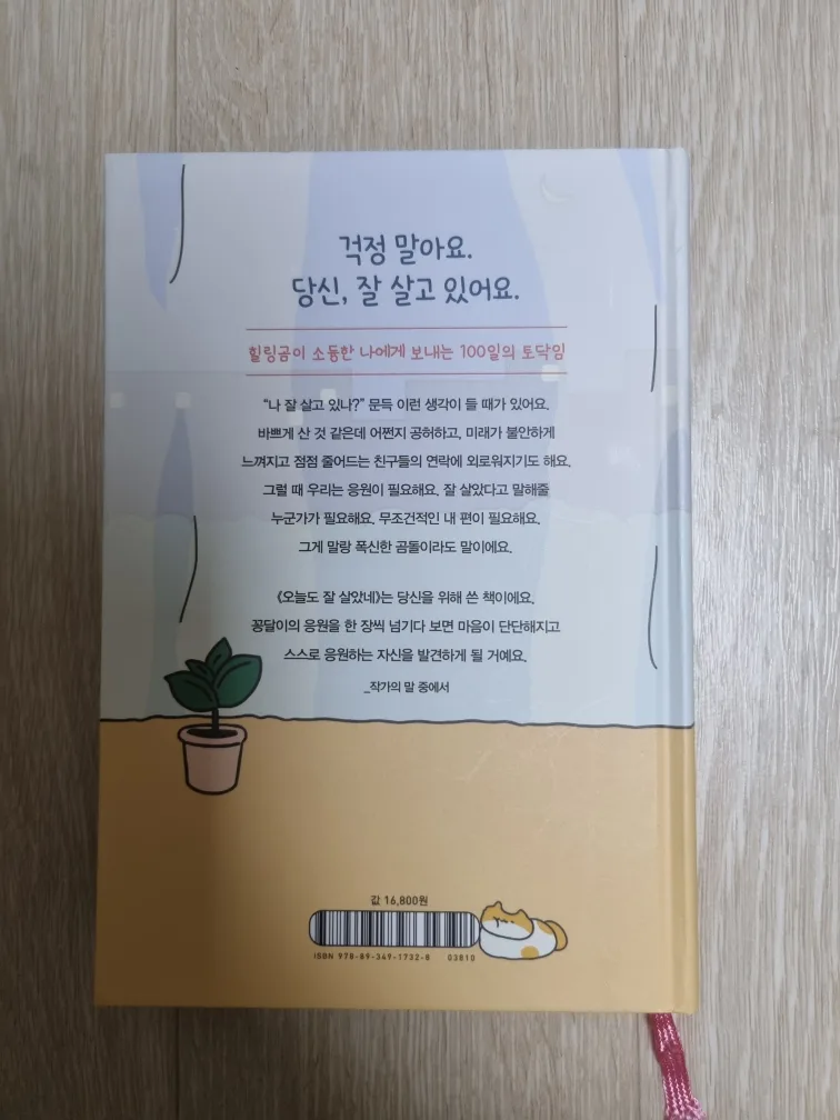 오늘도잘살았네 중고책