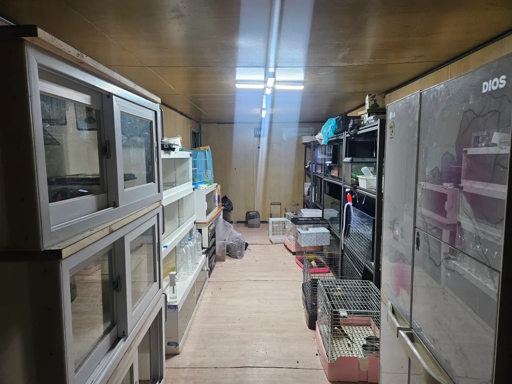 중고 컨테이너 팝니다 3x9