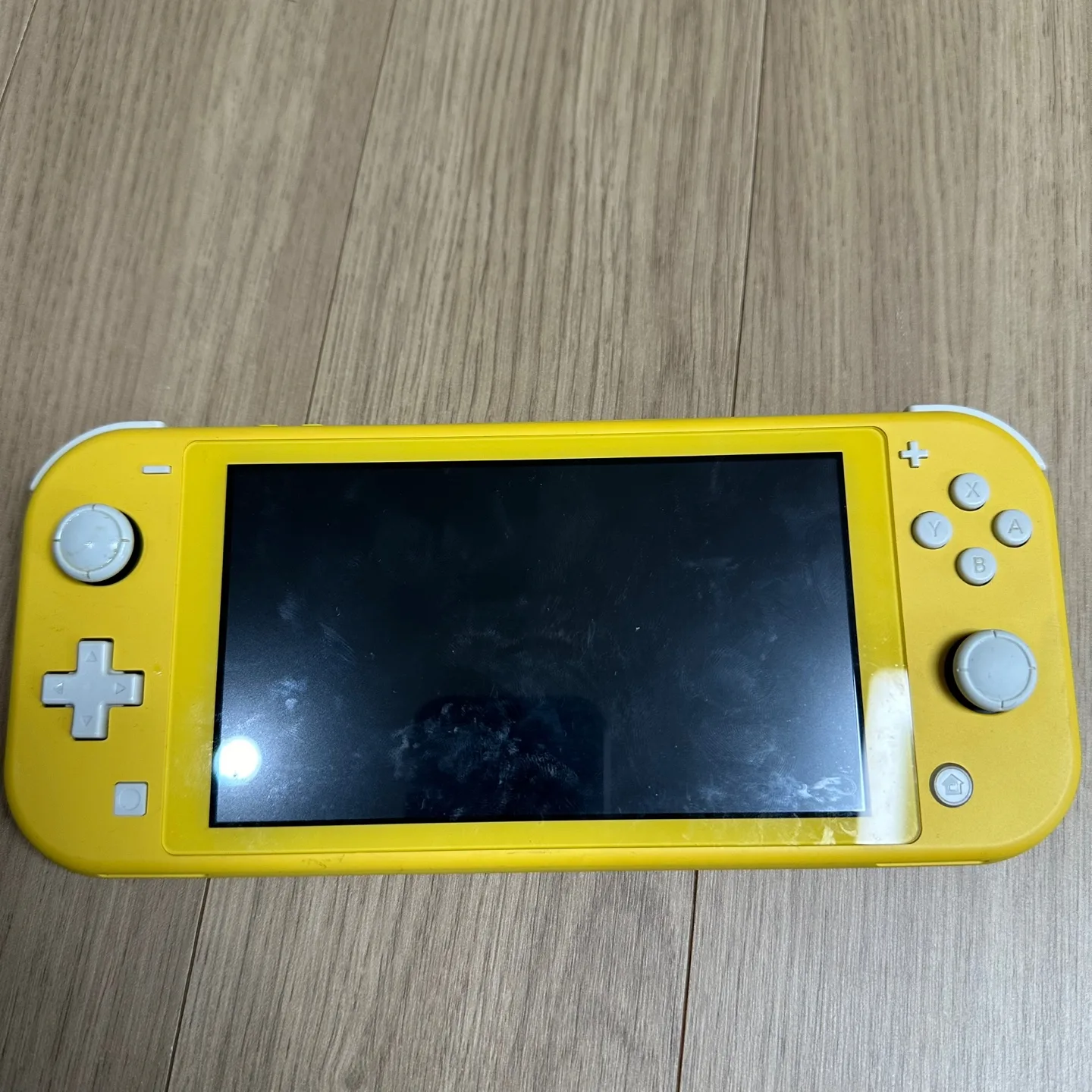 닌텐도.스위치 라이트