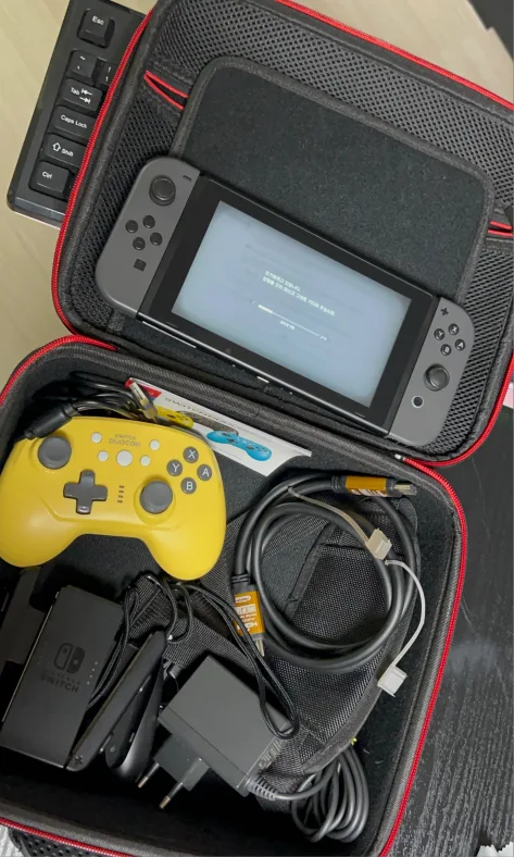 닌텐도스위치 팝니다[독없음]