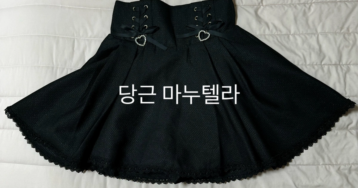 (새상품)일브 양산형 지뢰계 양지뢰 로지타 스카판 치마 정품 | 여성의류 | 당근 중고거래