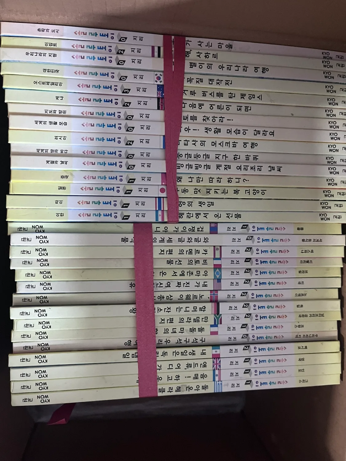 솔루토이 지리 판매합니다 :)