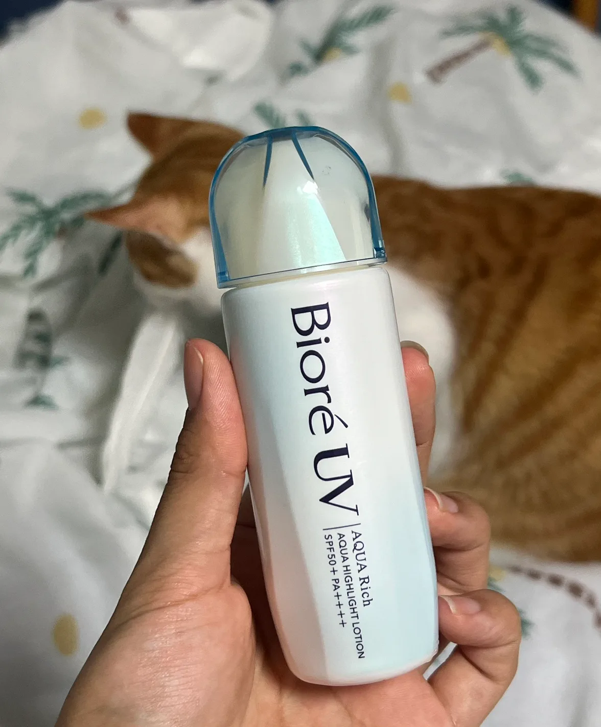 비오레 톤업 선크림