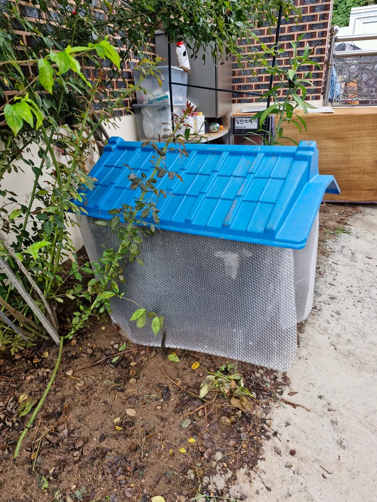 큰대형개집. 싸게팔아요(상태좋아요)