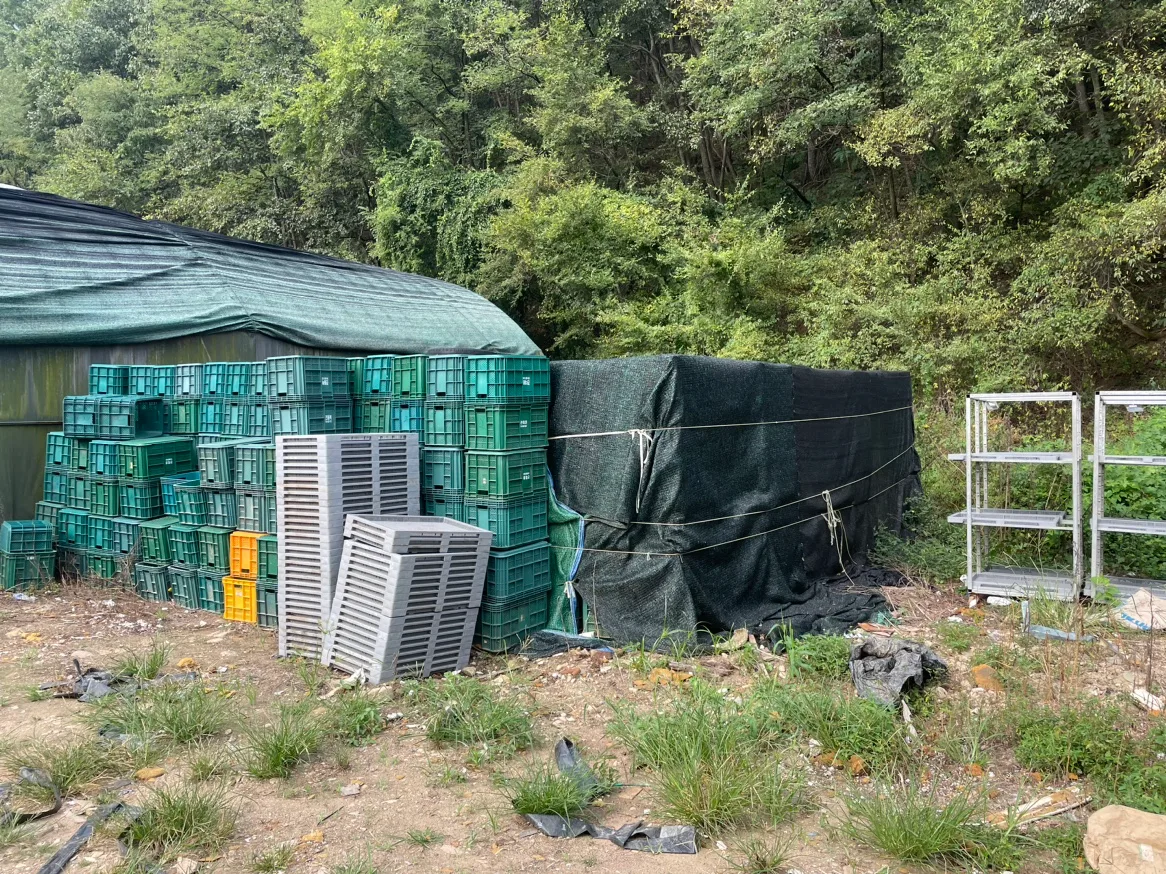 플라스틱 컨테이너 중고 1500개 이상