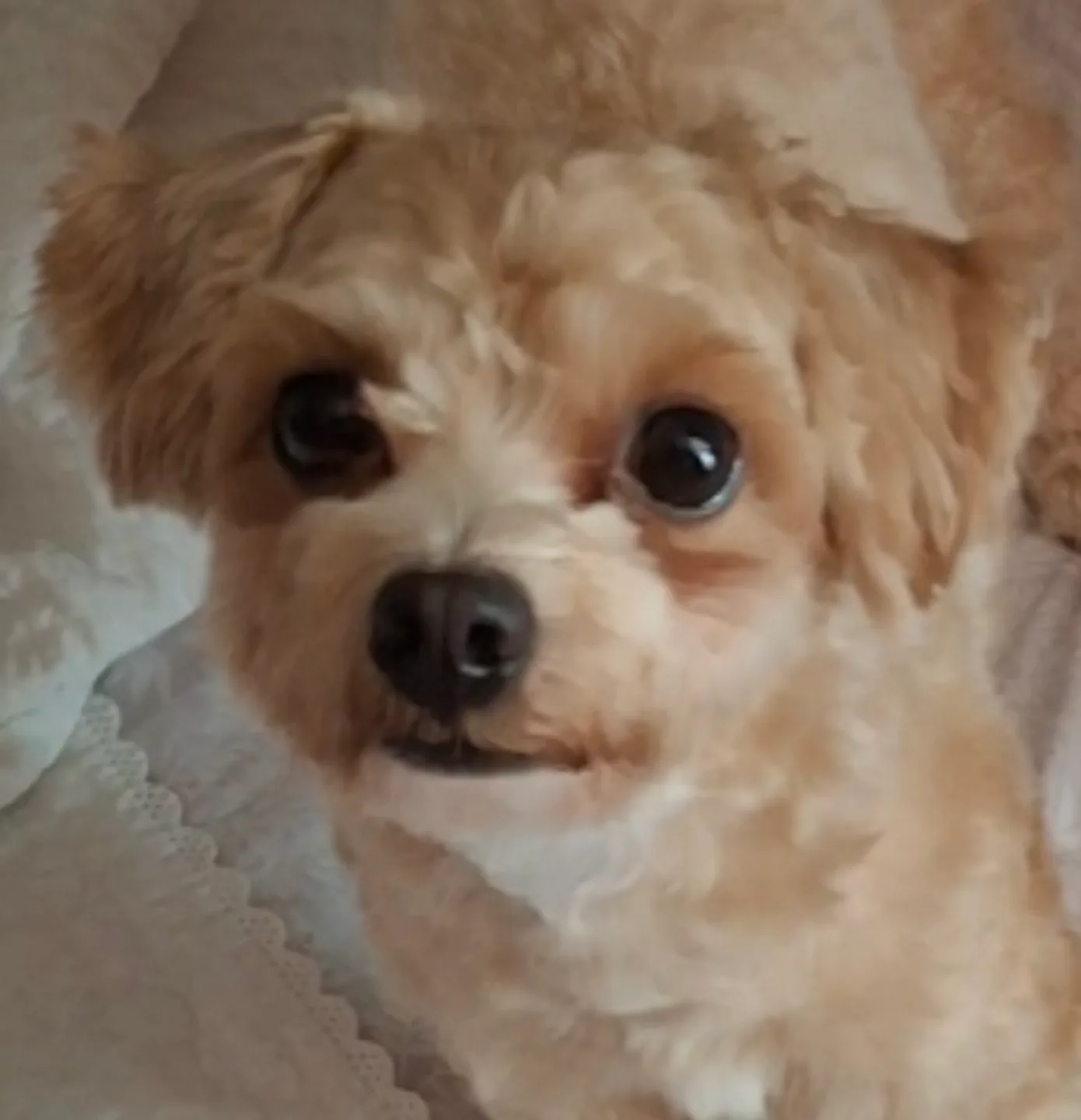 📚SQL 자격검정 실전문제 개정판 중고책 팝니다📚