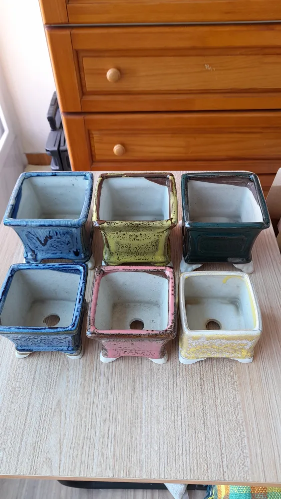 중고 다육화분 나눔