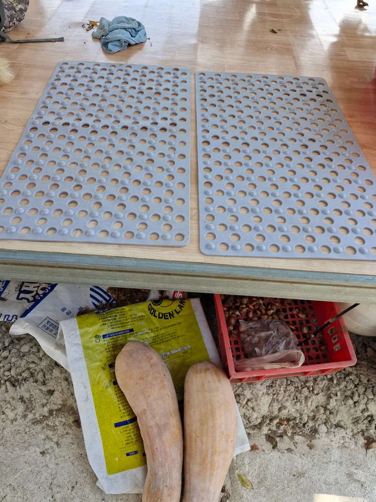 화장실미끄럼방지용매트2개