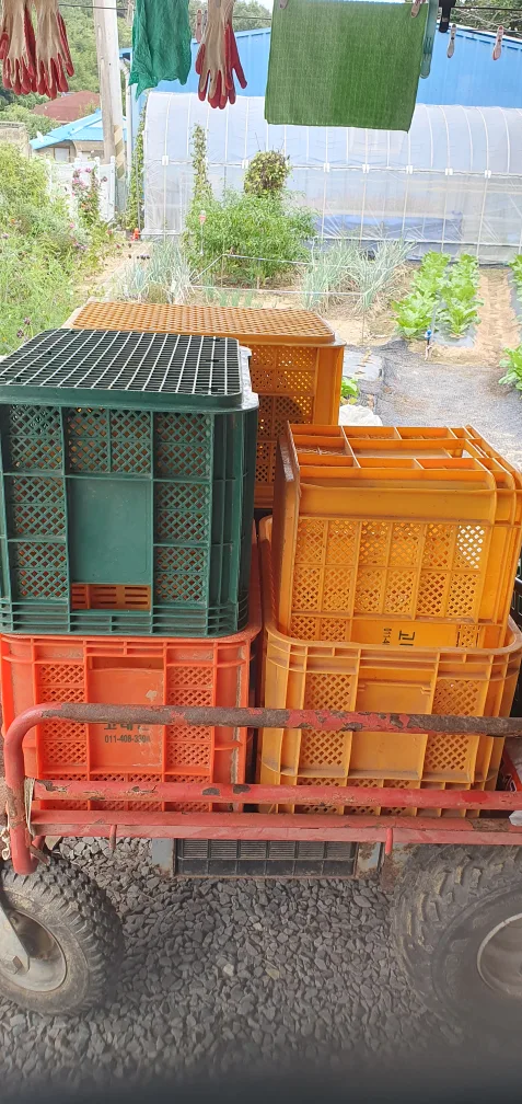 사과상자팝니다