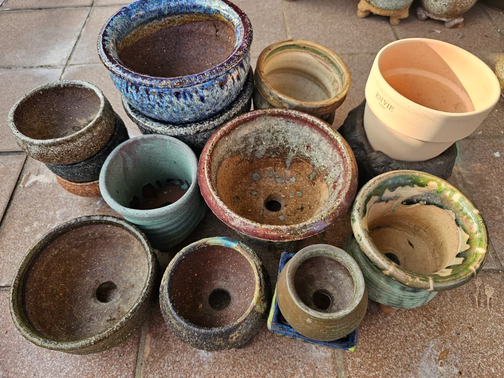 다육이화분(중고)