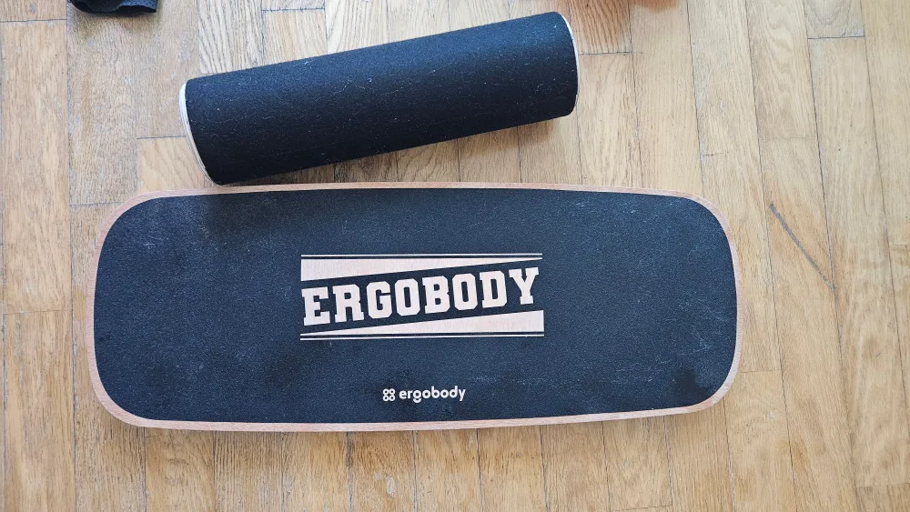 중고 에르고바디 팝니다