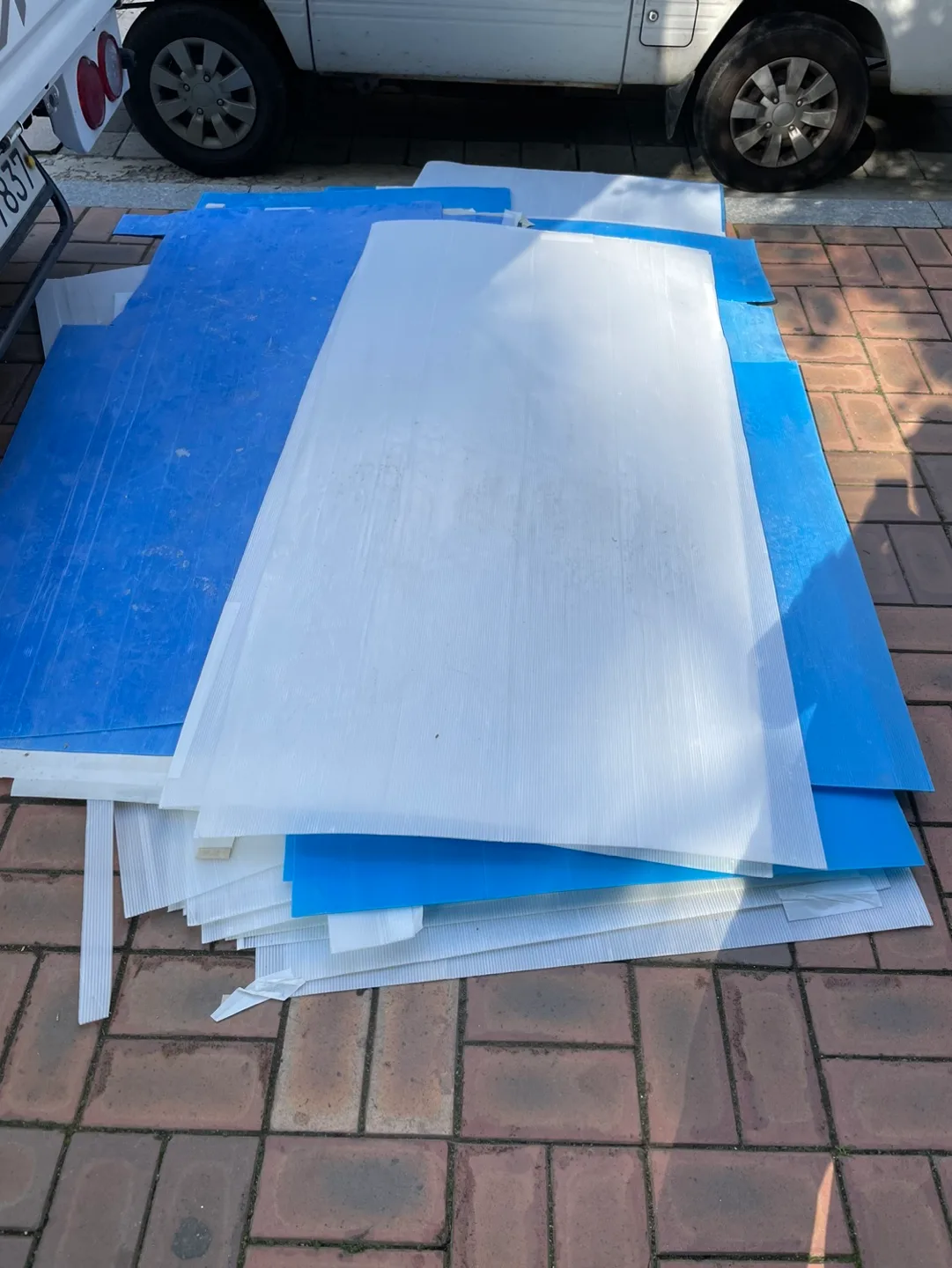 중고 플라베니아 무료나눔