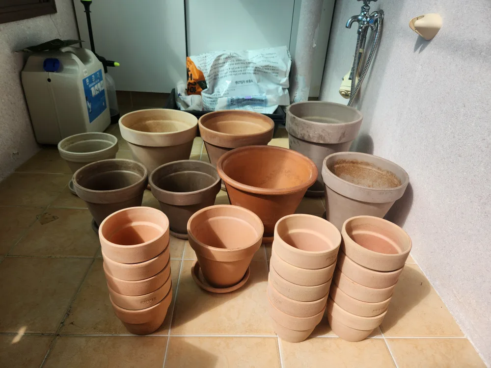 중고 화분 판매