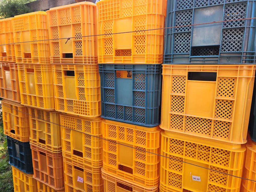 사과 콘데이너박스 중고 팝니다