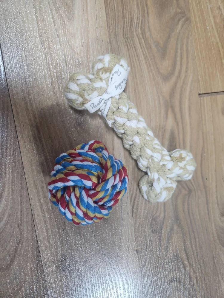 강아지 장난감 새것