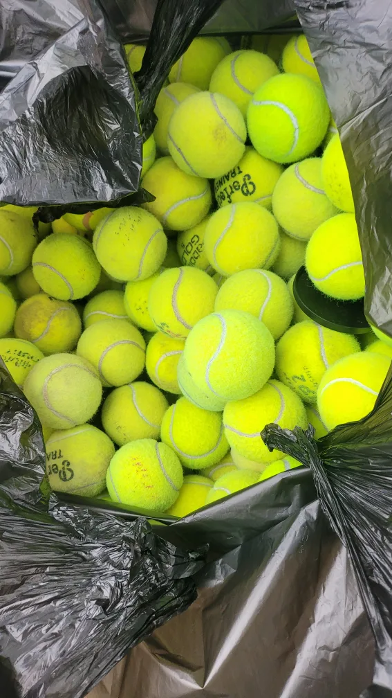중고 테니스공 나눔