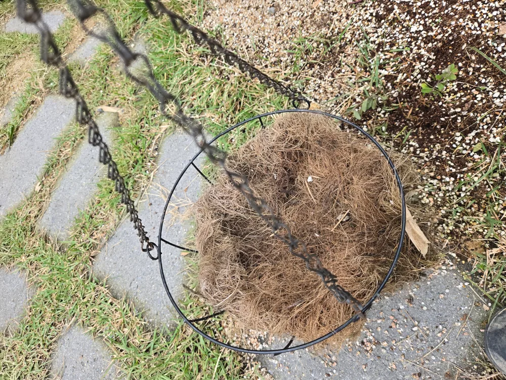 행인화분 2개 일괄