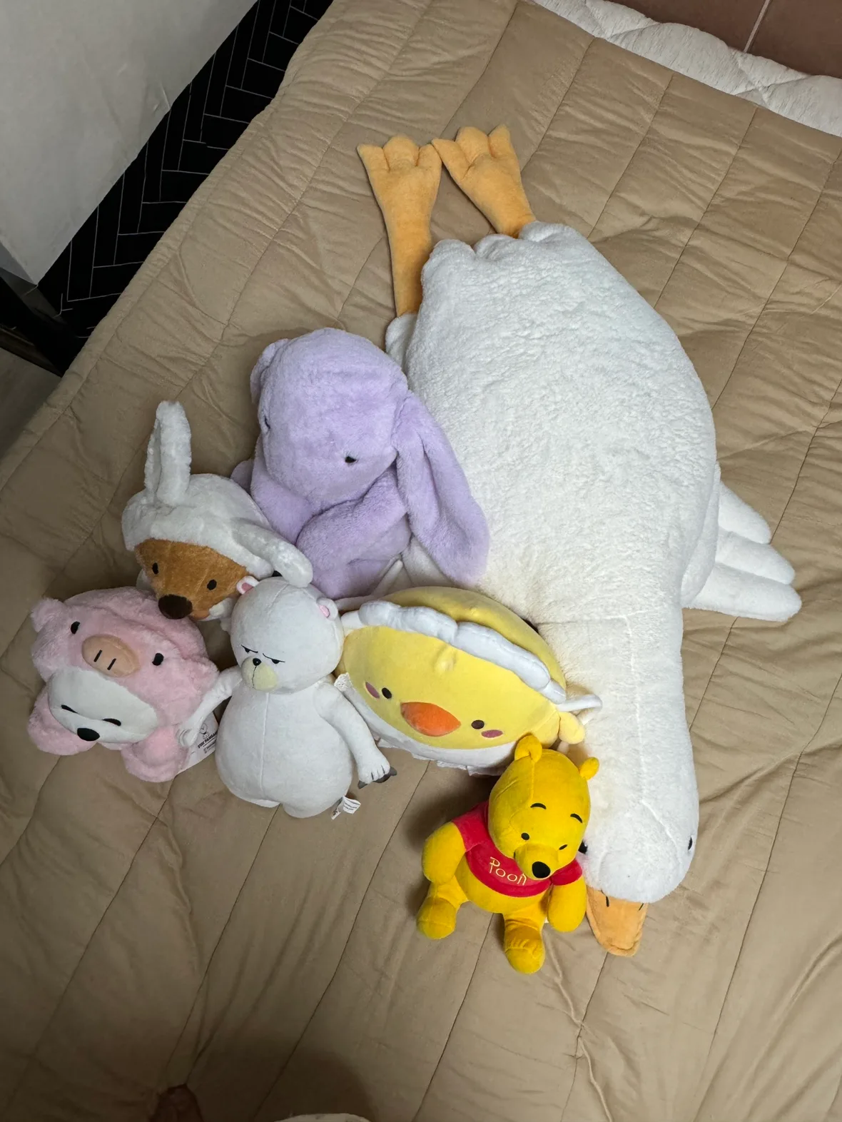 귀염뽀짝 인형들