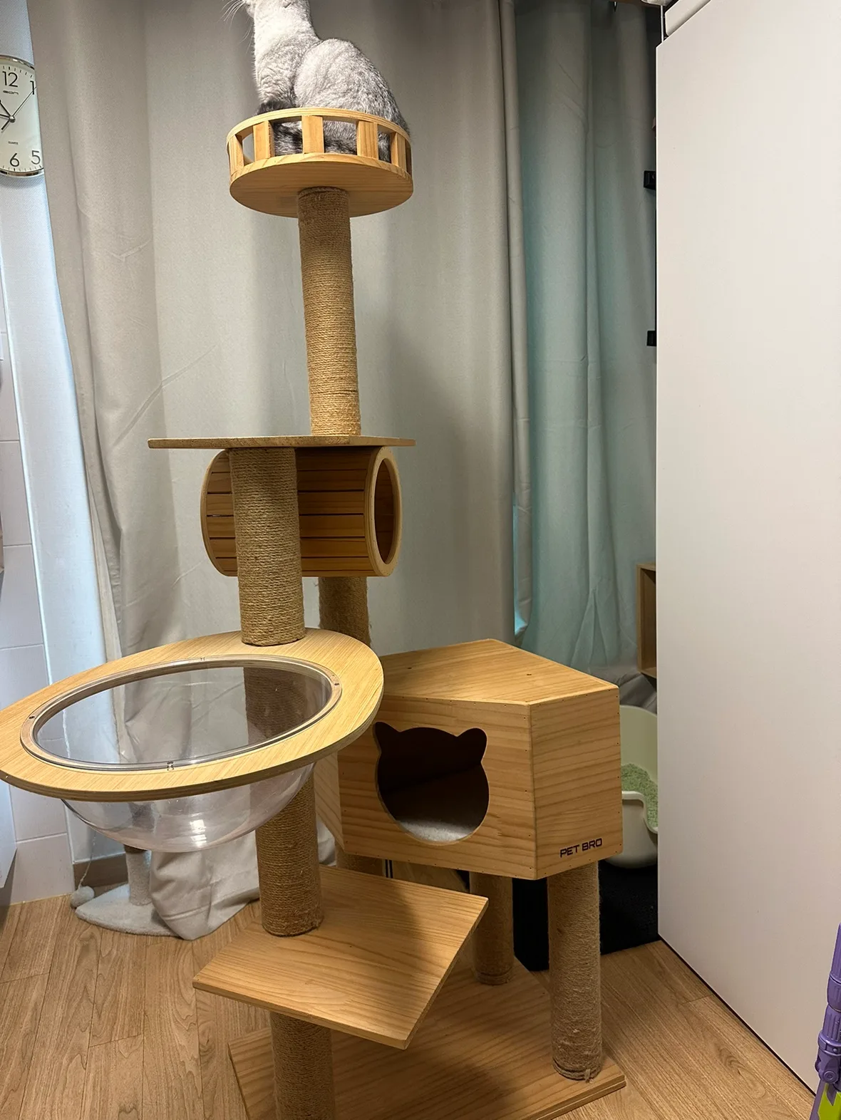 고양이 캣타워