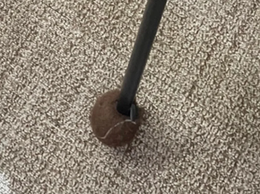 중고 테니스공 4개 나눔이나 팔아주세요