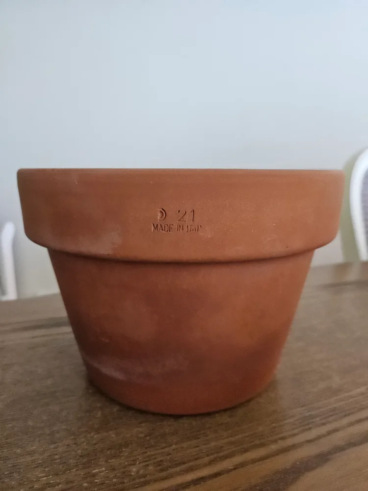 이탈리아 토분 바소메조(중고)