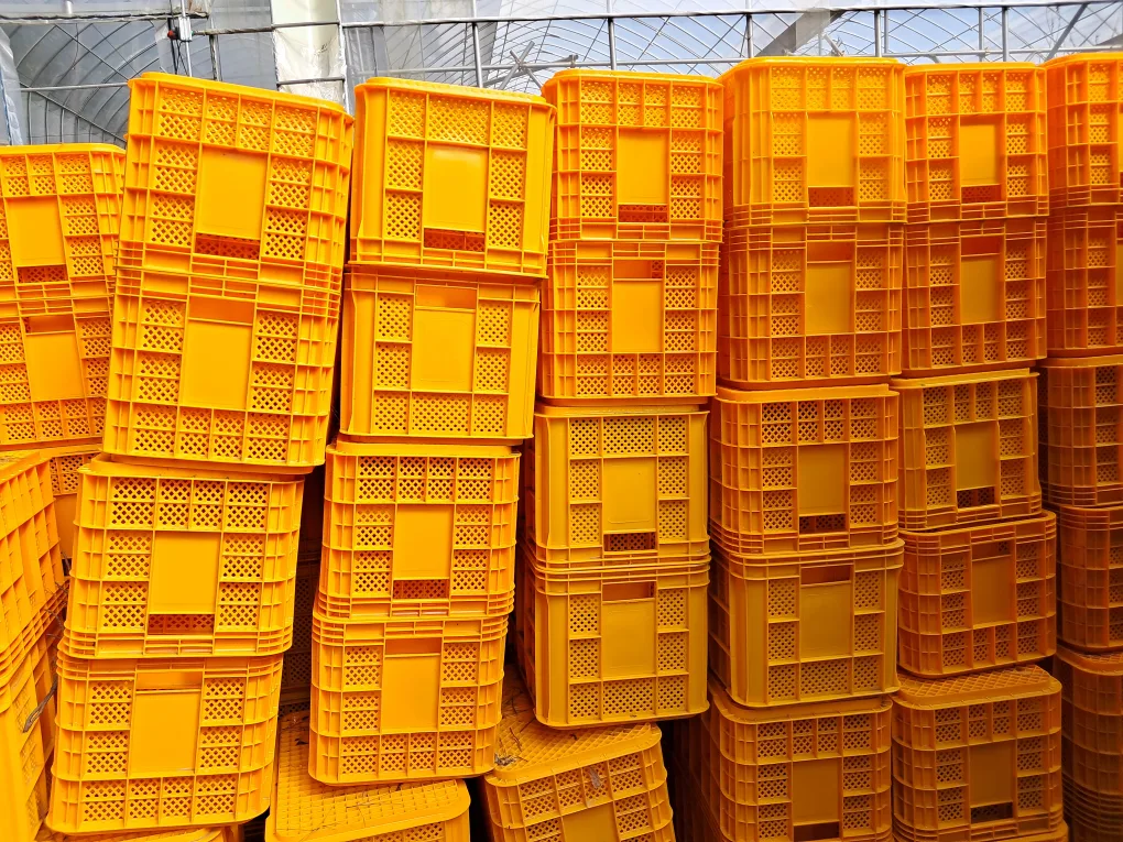 새것같은중고사과 박스 600개정도