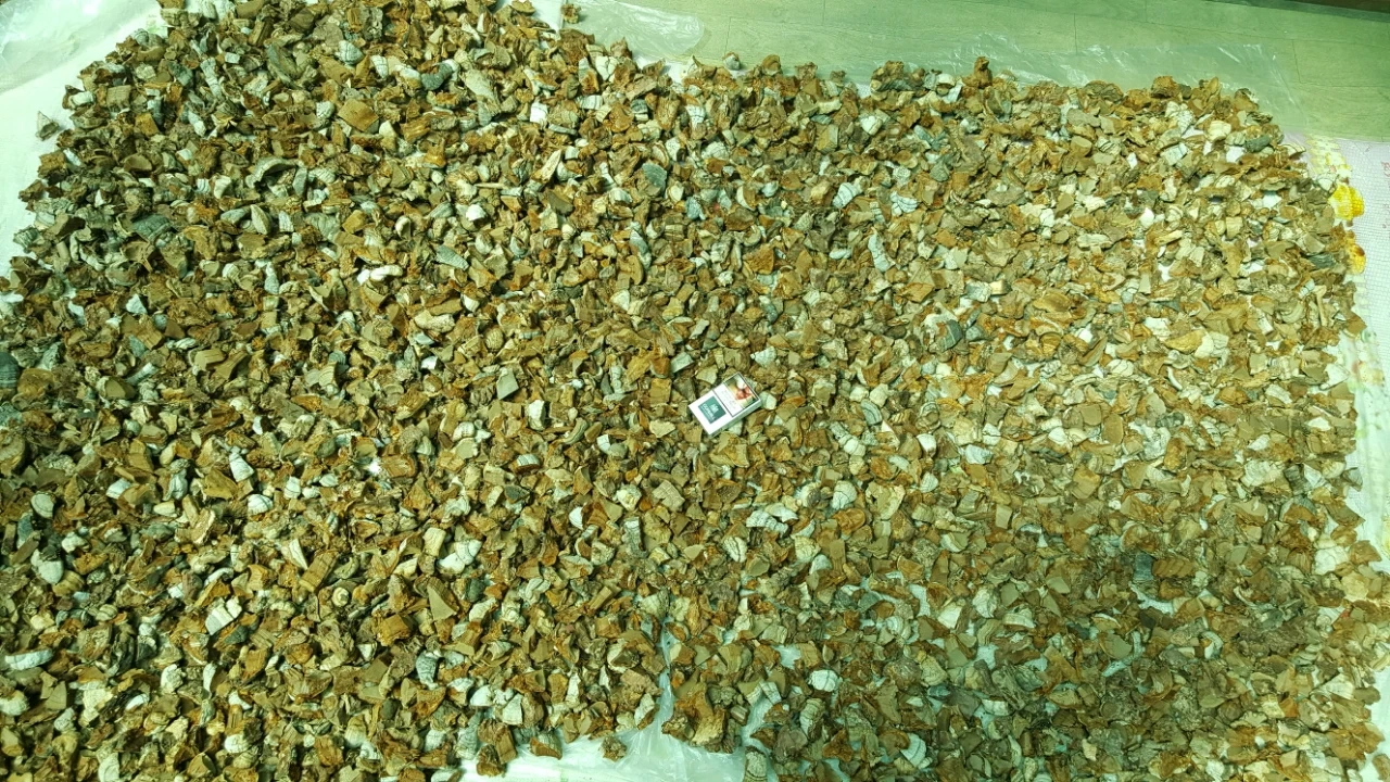 500g 500g