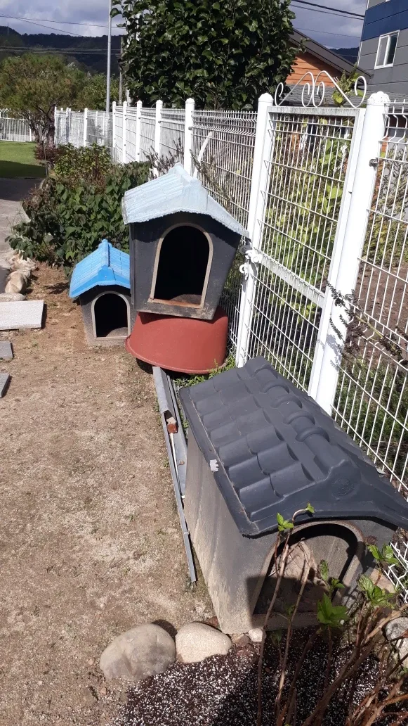 개집  무료로 4개 다 가져가실분....